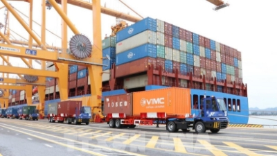Vietnam-India bilateral trade hits historic high of $16.4 bln in 2025