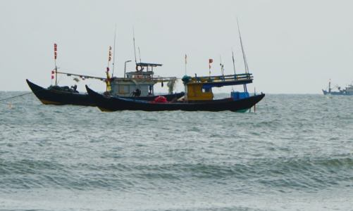 Dự án FIP Vũng Tàu: Hợp tác công - tư phát triển thủy sản bền vững 