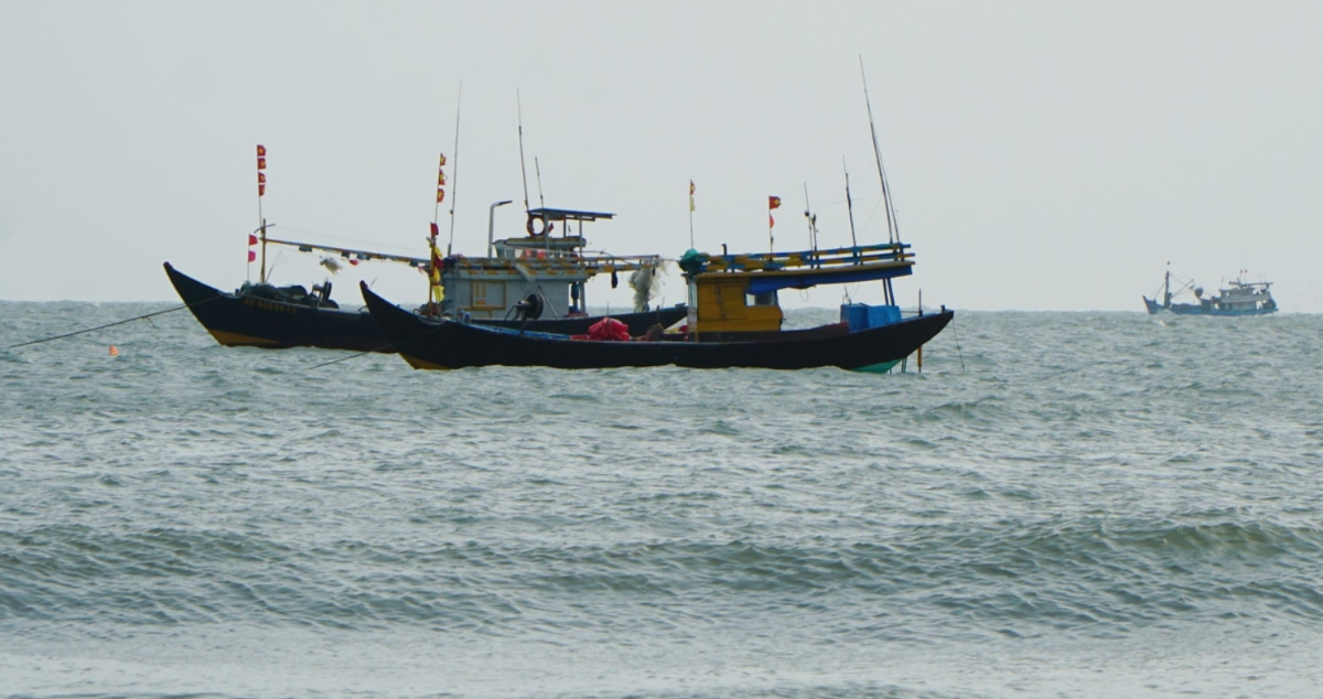 FIP Vũng Tàu đặt mục tiêu dài hạn vì một nghề lưới kéo có trách nhiệm và bền vững