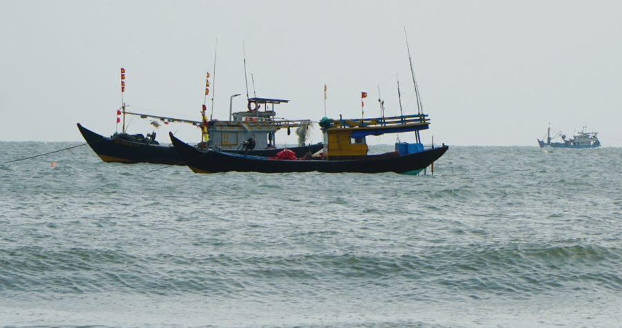 FIP Vũng Tàu đặt mục tiêu dài hạn vì một nghề lưới kéo có trách nhiệm và bền vững