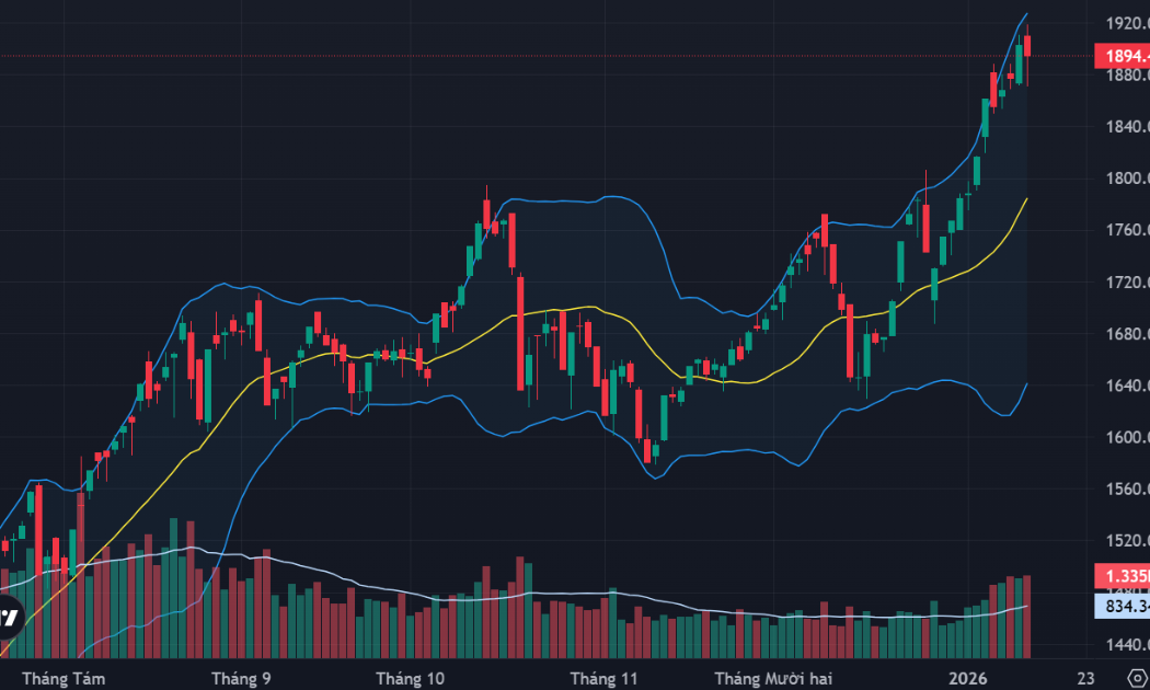 Dòng tiền xoay vòng, thị trường phân hóa tích cực