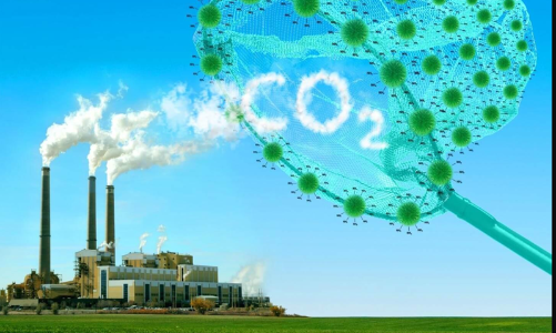 Kiểm kê khí nhà kính: Đừng để “ma trận” số liệu bủa vây doanh nghiệp