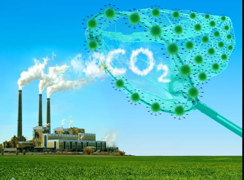 Kiểm kê khí nhà kính cần được nhìn nhận như một cơ hội để chuyển áp lực tuân thủ thành năng lực cạnh tranh bền vững. Ảnh minh họa.