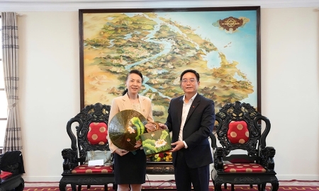 Huế tăng cường hợp tác đầu tư, mở rộng kết nối với các địa phương Trung Quốc