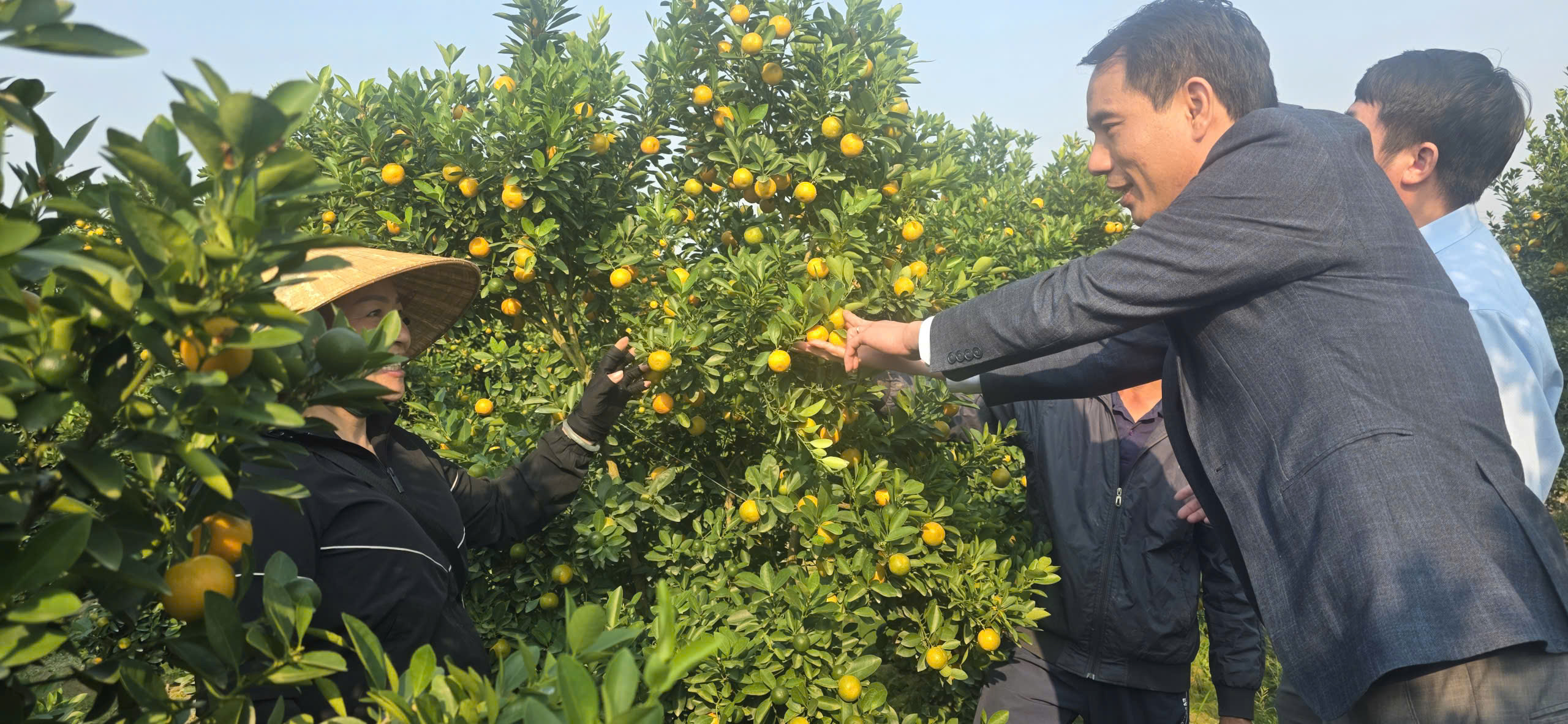 Ông Lê Phú Quốc, Bí thư Đảng ủy xã Hợp Tiến động viên người trồng quất vượt qua khó khăn, sẵn sàng cho vụ quất mới năm 2026