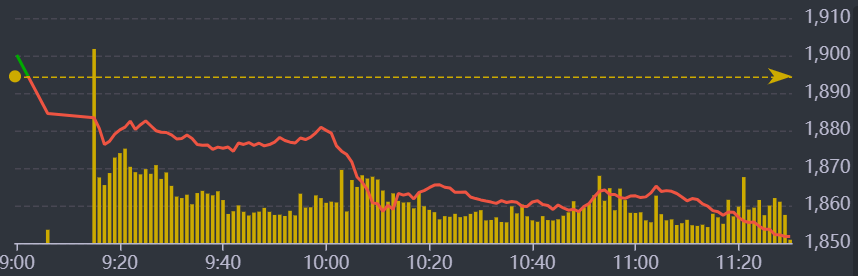 Diễn biến VN-Index sáng nay.