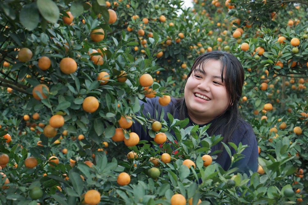 Năm nay, sản lượng quất giảm do ảnh hưởng của bão lũ, song nhu cầu thị trường vẫn cao, khiến giá quất có xu hướng nhích lên, tiếp thêm hy vọng cho người trồng quất sau một năm nhiều khó khăn.