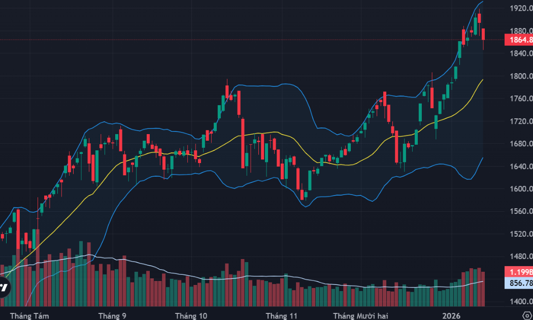 Cầu bắt đáy kéo giá hồi, khối ngoại đảo chiều mua ròng