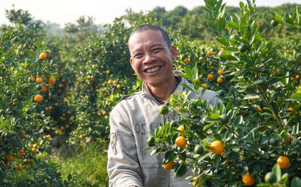 Những nụ cười trở lại trên gương mặt người trồng quất sau một năm nhiều biến động. 