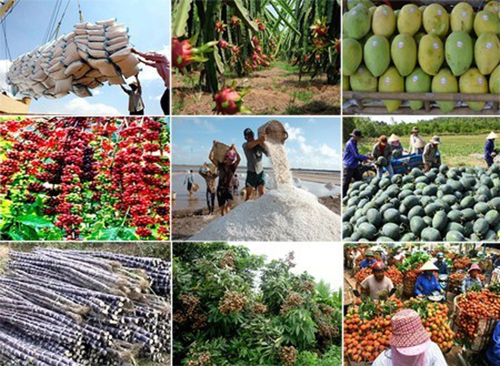 Thực phẩm nhập khẩu vào Châu Âu sẽ bị cấm nếu có dư lượng 5 loại chất bảo vệ thực vật.
