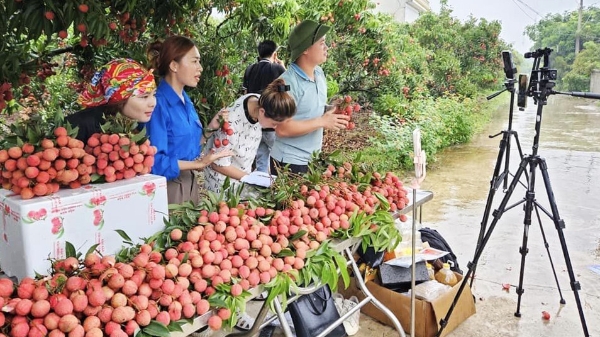 Giảm nghèo thông tin: Cơ hội cho nông dân tăng thu nhập, tạo sinh kế