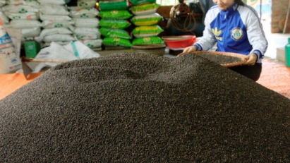 Vietnam's pepper and spice exports hit record high in 2025