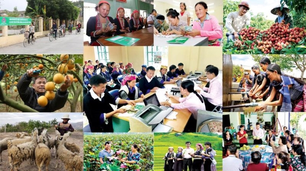 Outstanding policy credit reaches $16.2 billion in 2025