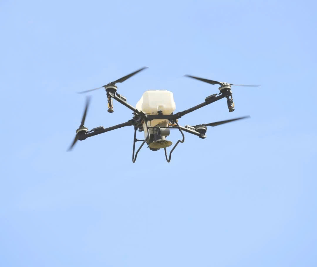 Drone được sử dụng để thả banh ở giúp gia tăng hiệu quả trồng rừng ở các khu vực có địa hình khó khăn.
