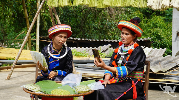 Phụ nữ vùng cao từng bước bắt nhịp kinh tế số, nâng cao thu nhập