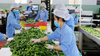 Vietnam to be among top 50 countries in UN Sustainable Development Goals (SDGs) index in 2026