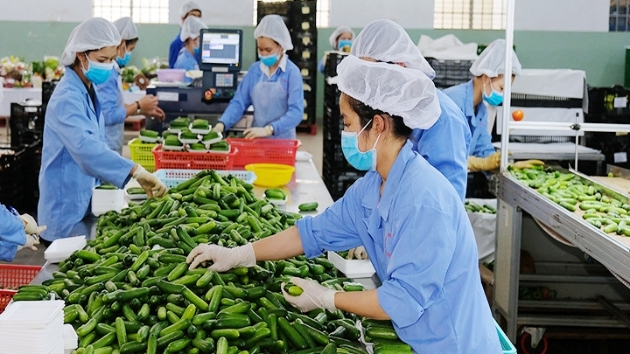 Vietnam to be among top 50 countries in UN Sustainable Development Goals (SDGs) index in 2026