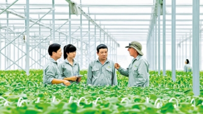 Conditions favorable for green finance