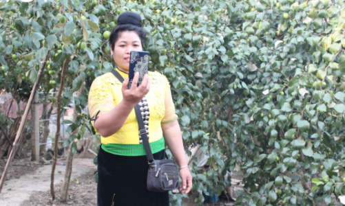 Công nghệ về bản, kinh tế vùng cao Sơn La thêm động lực phát triển
