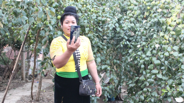 Công nghệ về bản, kinh tế vùng cao Sơn La thêm động lực phát triển