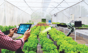 Khi dữ liệu trở thành "nguồn dinh dưỡng" mới và người nông dân trở thành "nhà khoa học" trên chính cánh đồng của mình, nông nghiệp Việt Nam sẽ thực sự bứt phá