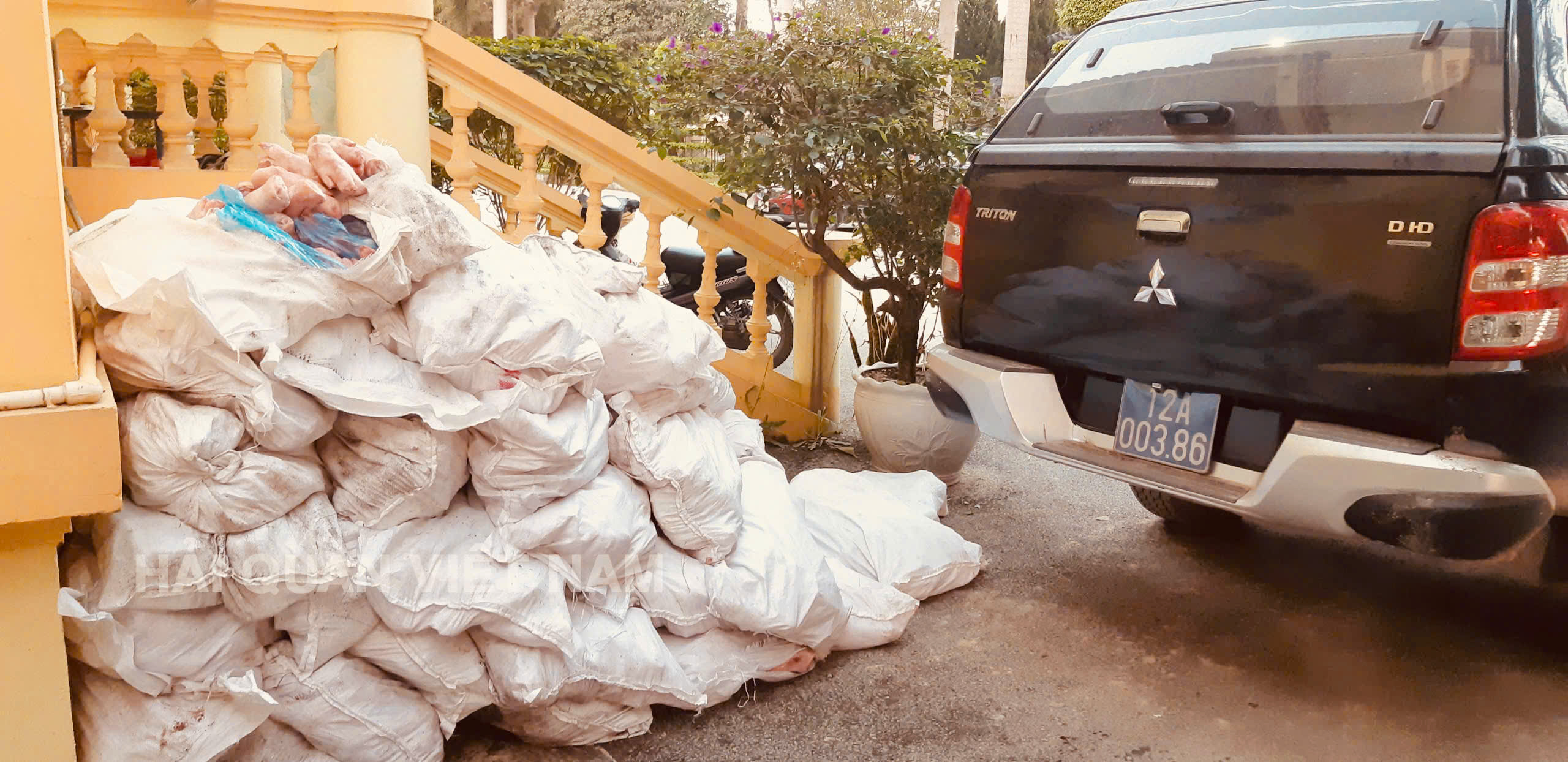 Hải quan thu giữ hơn 4,8 tấn thực phẩm đông lạnh không nguồn gốc và thuốc lá lậu - Ảnh 3