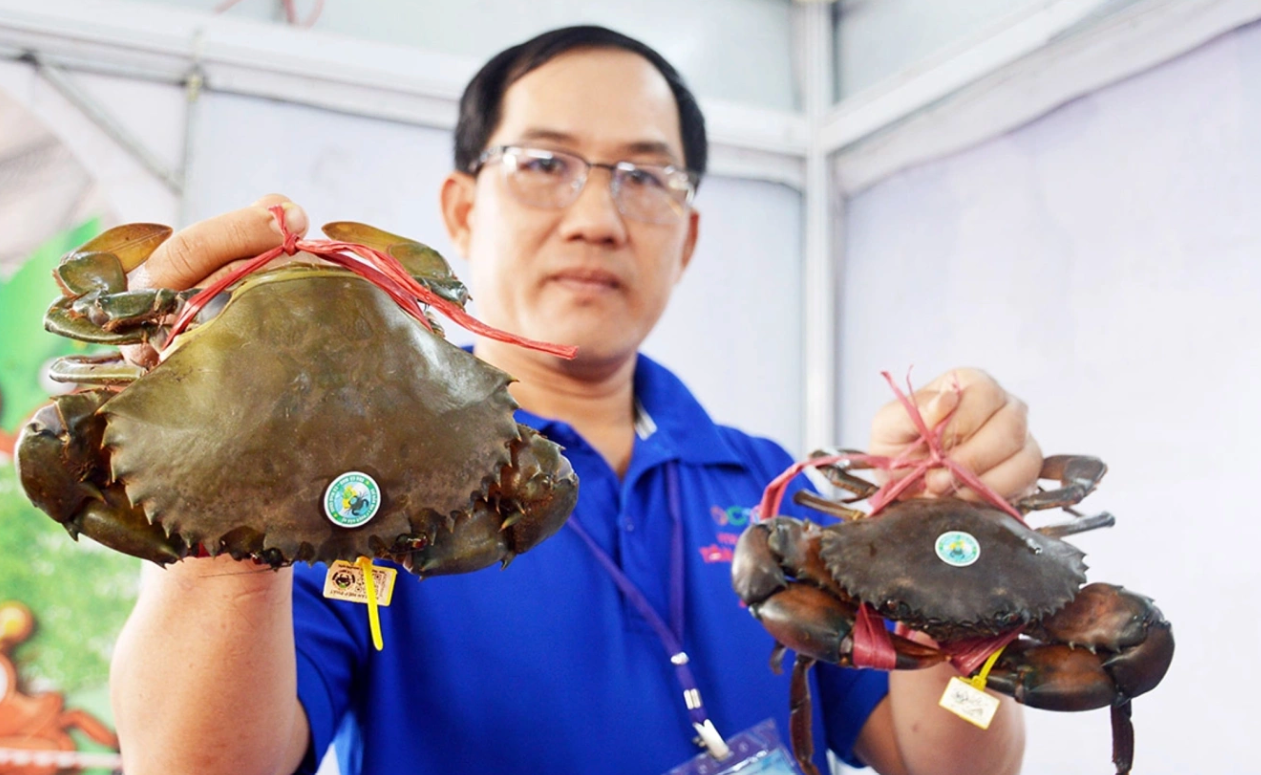 Nhờ xuất khẩu tăng mạnh, cua biển bán được giá cao.