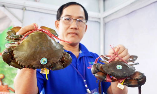 Xuất khẩu hải sản năm 2025: Cá ngừ suy giảm, mực và cua ghẹ tăng trưởng bứt phá