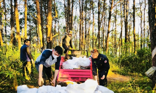 Hải quan thu giữ hơn 4,8 tấn thực phẩm đông lạnh không nguồn gốc và thuốc lá lậu