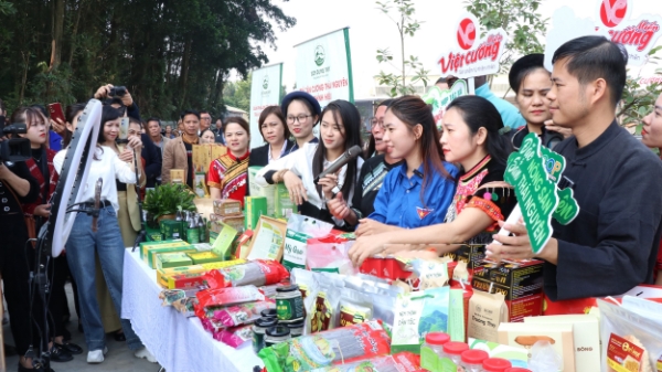 Thái Nguyên: Chuyển đổi số mở lối cho giảm nghèo bền vững 