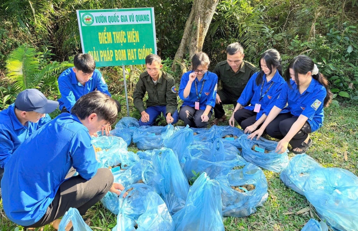 Ươm mầm xanh cho tương lai.