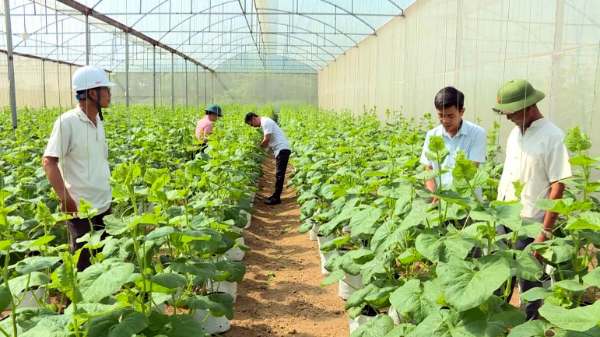 Thanh Hóa: Đẩy mạnh số hóa, ứng dụng công nghệ cao trong sản xuất nông nghiệp