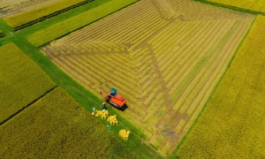 Giải quyết bài toán đất nông nghiệp Đồng bằng sông Cửu Long trước áp lực kinh tế và 