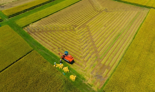 Giải quyết bài toán đất nông nghiệp Đồng bằng sông Cửu Long trước áp lực kinh tế và 