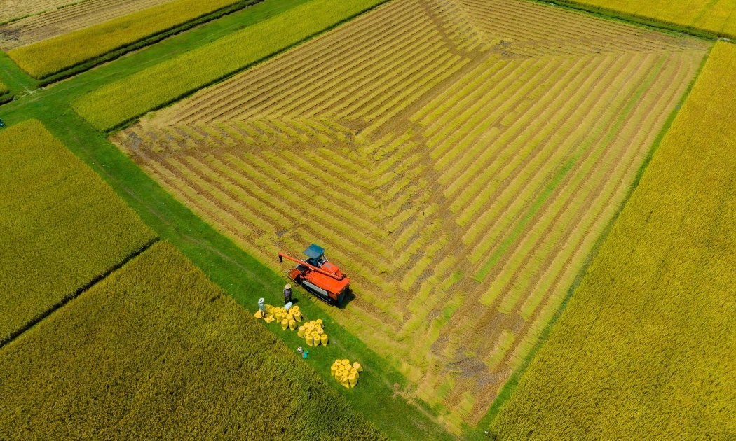 Giải quyết bài toán đất nông nghiệp Đồng bằng sông Cửu Long trước áp lực kinh tế và 