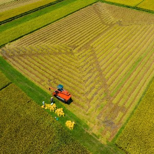 Quỹ tập trung đầu tư vào tối đa 12 doanh nghiệp hoạt động trong lĩnh vực nông nghiệp tái sinh, lâm nghiệp và nuôi trồng thủy sản tại khu vực hạ lưu sông Mekong thuộc Việt Nam và Lào. Ảnh minh hoạ