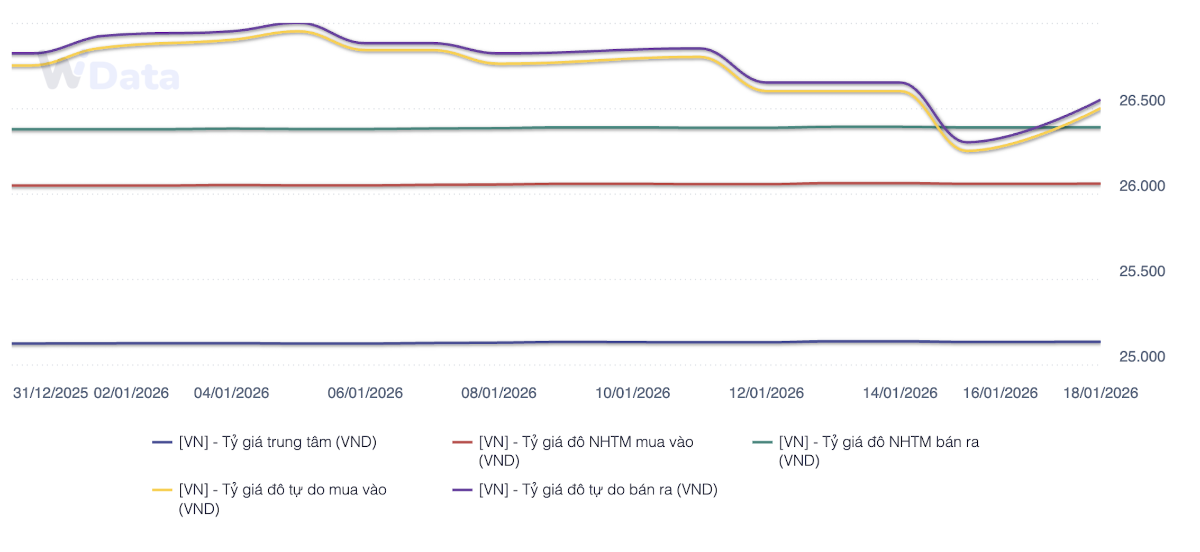Diễn biến tỷ giá từ đầu năm tới nay (Nguồn: NHNN, NHTM, WiGroup)