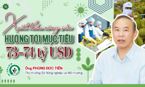 Xuất khẩu nông sản hướng tới mục tiêu 73–74 tỷ USD 