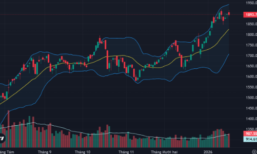 Khối ngoại bán ròng kỷ lục 27 phiên, thanh khoản phục hồi