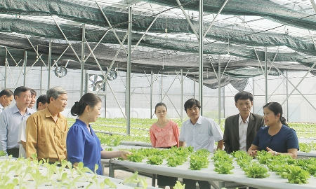 Thúc đẩy chuyển đổi số trong hợp tác xã nông nghiệp