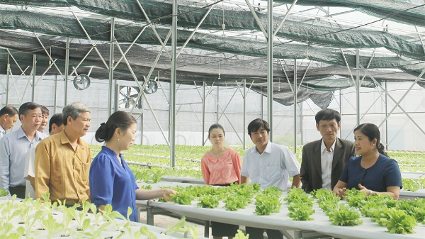 Thúc đẩy chuyển đổi số trong hợp tác xã nông nghiệp