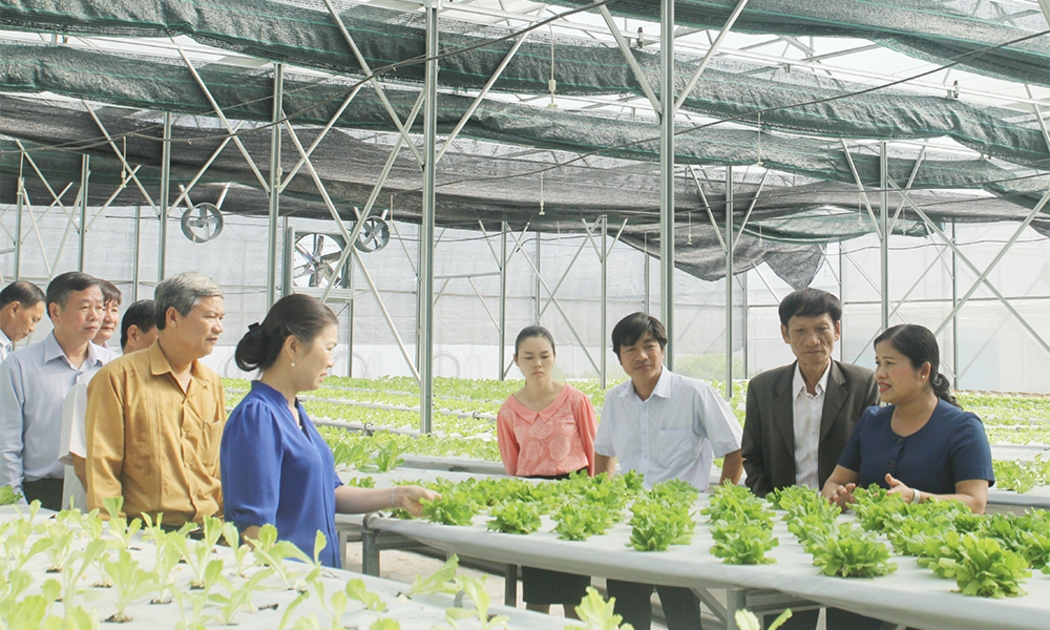 Quy trình sản xuất nông sản được số hóa giúp hợp tác xã quản lý đồng bộ và minh bạch hơn.