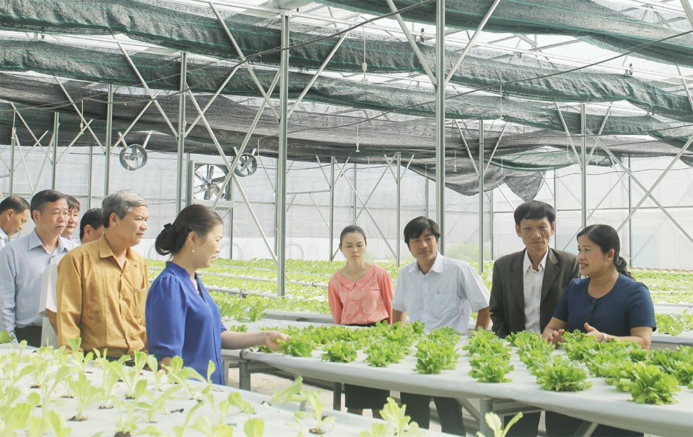 Quy trình sản xuất nông sản được số hóa giúp hợp tác xã quản lý đồng bộ và minh bạch hơn.