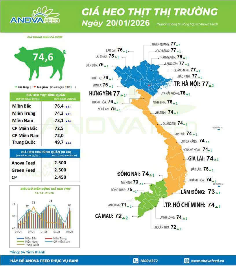 Khảo sát giá lợn hơi xuất chuồng trên cả nước ngày 20/1, do Bộ phận nghiên cứu thị trường của&nbsp; Công ty ANOVA Feed (chuyên sản xuất thức ăn chăn nuôi) thực hiện.&nbsp;