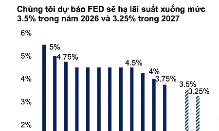 Tỷ giá sẽ ổn định hơn trong năm 2026