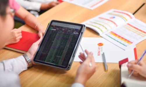 VDS đảo chiều quý 4/2025, đưa doanh thu cả năm vượt nghìn tỷ