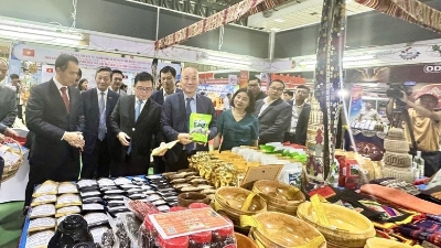 Vietnam-Laos trade turnover reaching $2.98 bln in 2025