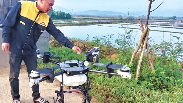 Nông dân Quảng Ngãi làm ruộng cùng “trợ lý công nghệ”