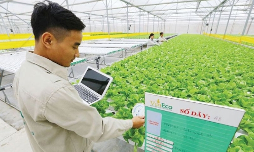 Nông nghiệp số, công nghệ cao mở ra hướng đi mới cho người nông dân 