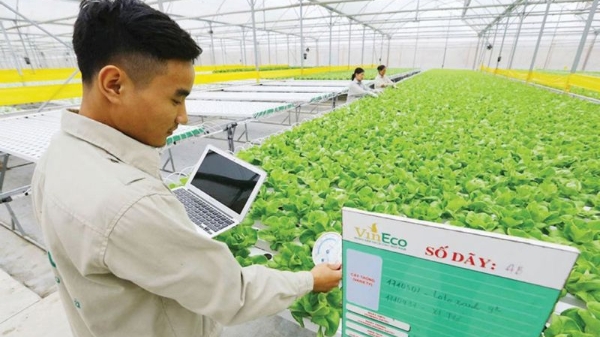 Nông nghiệp số, công nghệ cao mở ra hướng đi mới cho người nông dân